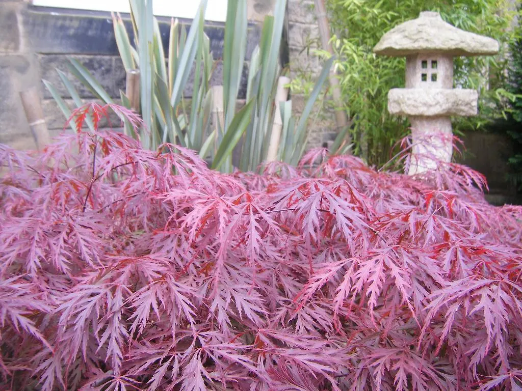 Amaragua Guest House エディンバラ