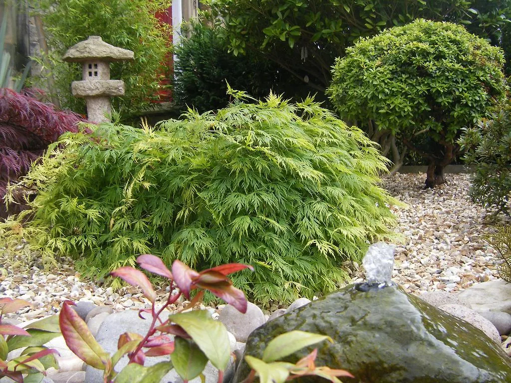 Amaragua Guest House Edimburgo